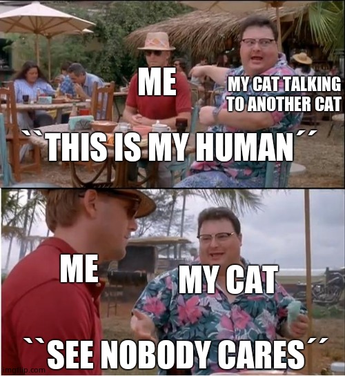 See Nobody Cares | MY CAT TALKING TO ANOTHER CAT; ME; ``THIS IS MY HUMAN´´; MY CAT; ME; ``SEE NOBODY CARES´´ | image tagged in memes,see nobody cares | made w/ Imgflip meme maker