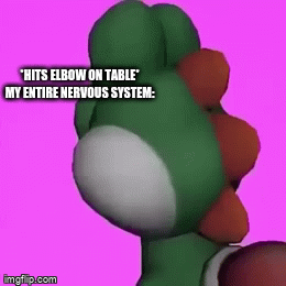 Relatable anyone? | *HITS ELBOW ON TABLE*

MY ENTIRE NERVOUS SYSTEM: | image tagged in gifs,yoshi,elbow,memes,funny,nervous system | made w/ Imgflip video-to-gif maker