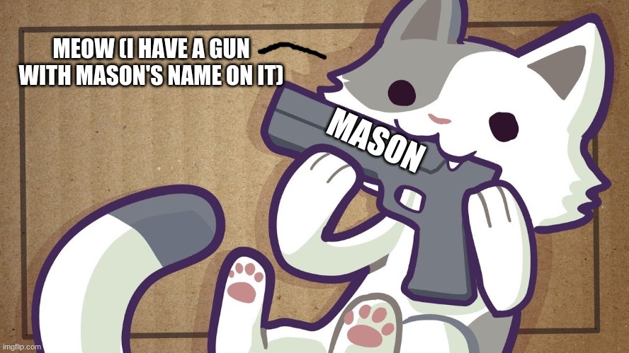 Cat with a Gun | MASON MEOW (I HAVE A GUN WITH MASON'S NAME ON IT) | image tagged in cat with a gun | made w/ Imgflip meme maker