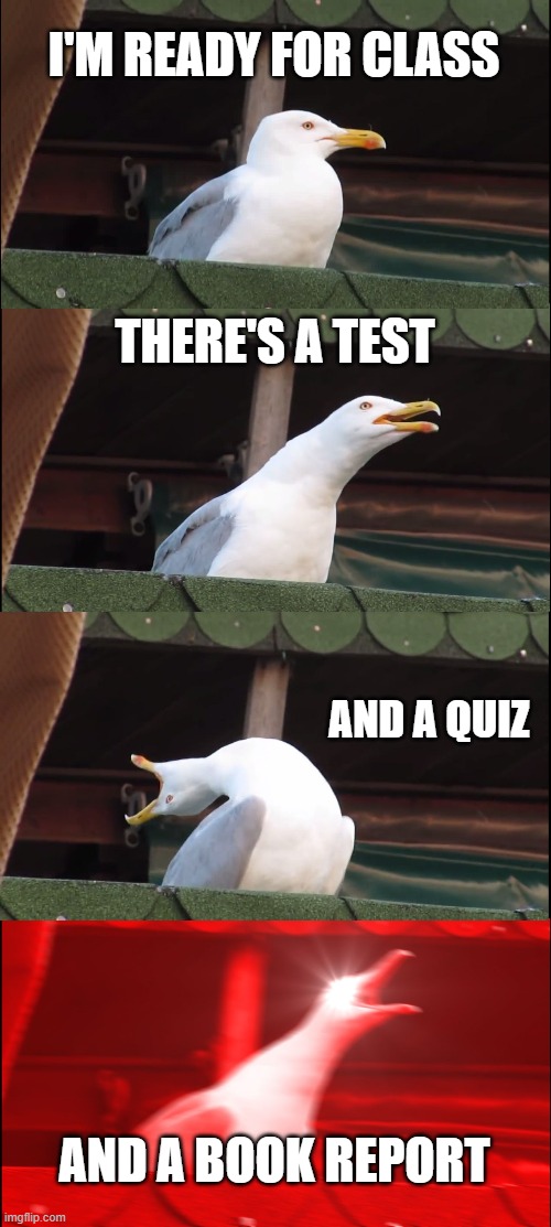 Inhaling Seagull Meme | I'M READY FOR CLASS; THERE'S A TEST; AND A QUIZ; AND A BOOK REPORT | image tagged in memes,inhaling seagull | made w/ Imgflip meme maker