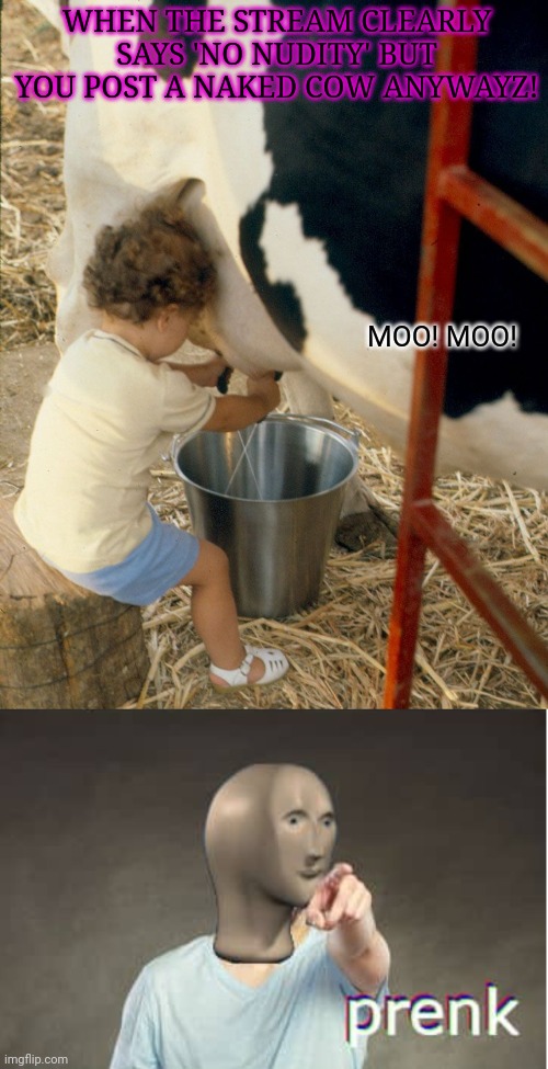 Milk cow | WHEN THE STREAM CLEARLY SAYS 'NO NUDITY' BUT YOU POST A NAKED COW ANYWAYZ! MOO! MOO! | image tagged in prenk,milk,cow,fresh,meme man | made w/ Imgflip meme maker