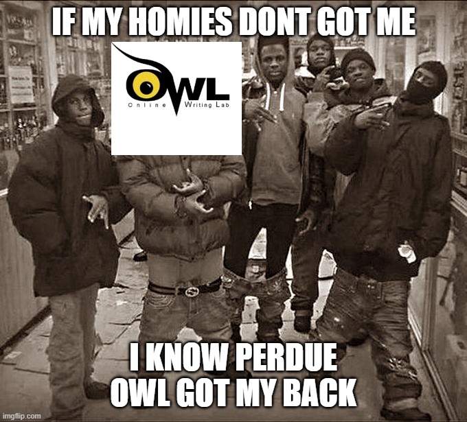 OWL Got My Back | IF MY HOMIES DONT GOT ME; I KNOW PERDUE OWL GOT MY BACK | image tagged in all my homies hate,owl,perdue | made w/ Imgflip meme maker