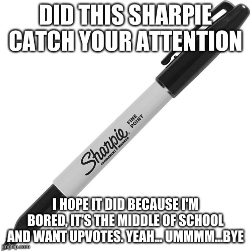 The sharpie will get you | DID THIS SHARPIE CATCH YOUR ATTENTION; I HOPE IT DID BECAUSE I'M BORED, IT'S THE MIDDLE OF SCHOOL AND WANT UPVOTES. YEAH... UMMMM...BYE | image tagged in sharpie,bored | made w/ Imgflip meme maker