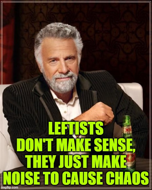 The Most Interesting Man In The World Meme | LEFTISTS DON'T MAKE SENSE, THEY JUST MAKE NOISE TO CAUSE CHAOS | image tagged in memes,the most interesting man in the world | made w/ Imgflip meme maker