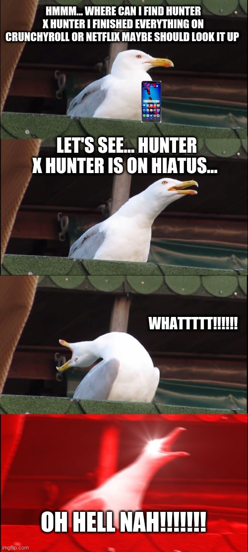 Inhaling Seagull Meme | HMMM... WHERE CAN I FIND HUNTER X HUNTER I FINISHED EVERYTHING ON CRUNCHYROLL OR NETFLIX MAYBE SHOULD LOOK IT UP; LET'S SEE... HUNTER X HUNTER IS ON HIATUS... WHATTTTT!!!!!! OH HELL NAH!!!!!!! | image tagged in memes,inhaling seagull | made w/ Imgflip meme maker