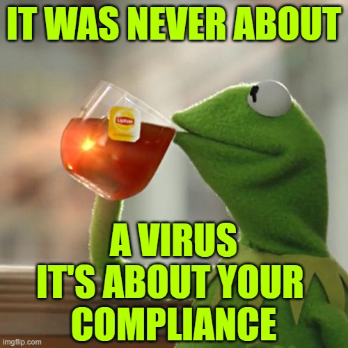 But That's None Of My Business Meme | IT WAS NEVER ABOUT A VIRUS
IT'S ABOUT YOUR 
COMPLIANCE | image tagged in memes,but that's none of my business,kermit the frog | made w/ Imgflip meme maker