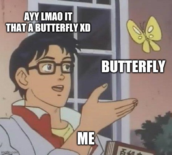 Is This A Pigeon | AYY LMAO IT THAT A BUTTERFLY XD; BUTTERFLY; ME | image tagged in memes,is this a pigeon | made w/ Imgflip meme maker