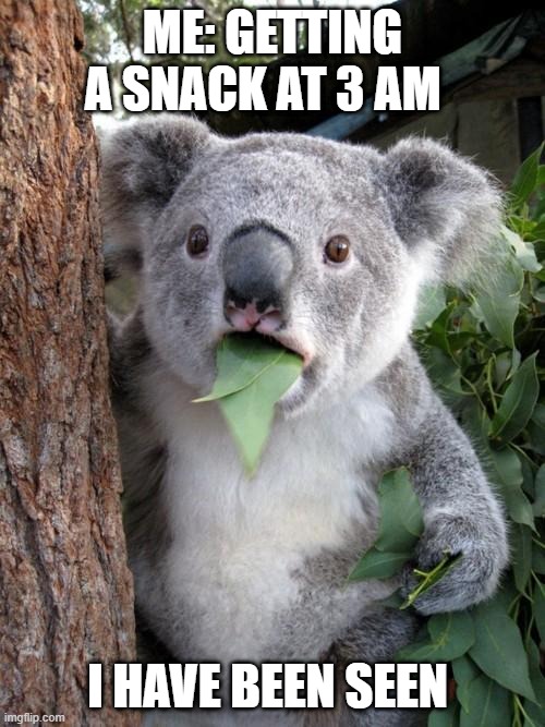 nom nom time | ME: GETTING A SNACK AT 3 AM; I HAVE BEEN SEEN | image tagged in memes,surprised koala | made w/ Imgflip meme maker