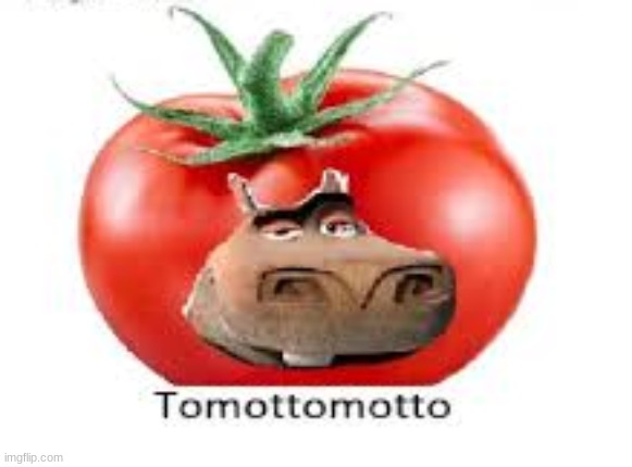 a fresh tomotomoto | image tagged in moto moto,tomato | made w/ Imgflip meme maker