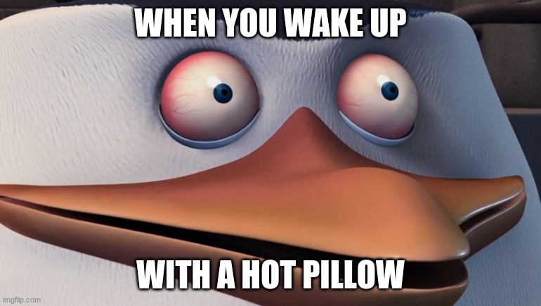 Shook Skipper | WHEN YOU WAKE UP; WITH A HOT PILLOW | image tagged in shook skipper | made w/ Imgflip meme maker