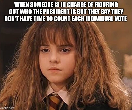 When someone is in charge of figuring out who the president is but they say they don't have time to count each individual vote | WHEN SOMEONE IS IN CHARGE OF FIGURING OUT WHO THE PRESIDENT IS BUT THEY SAY THEY DON'T HAVE TIME TO COUNT EACH INDIVIDUAL VOTE | image tagged in dissapointed hermione | made w/ Imgflip meme maker