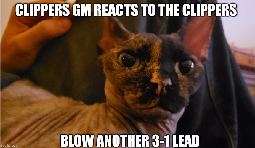 CLIPPERS GM REACTS TO THE CLIPPERS; BLOW ANOTHER 3-1 LEAD | image tagged in clippers,denver nuggets | made w/ Imgflip meme maker