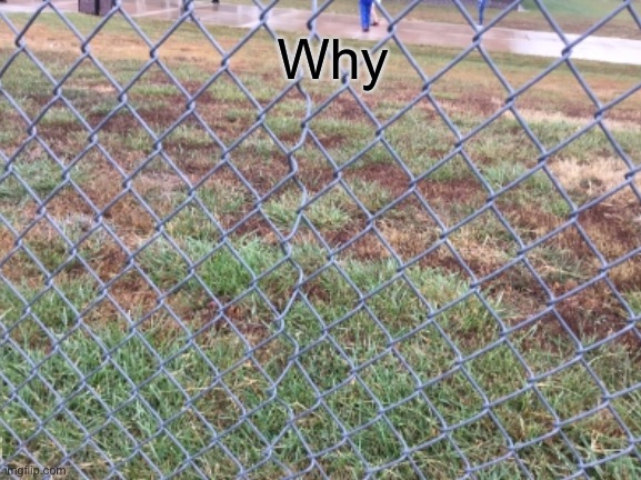 The fence at my house has one wire that just decided no | Why | image tagged in you had one job just the one | made w/ Imgflip meme maker