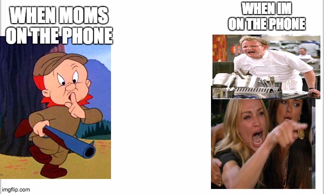quiet place | WHEN IM ON THE PHONE; WHEN MOMS ON THE PHONE | image tagged in white background | made w/ Imgflip meme maker