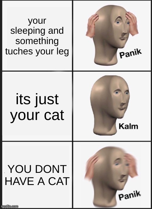 uh oh spegetiyos | your sleeping and something tuches your leg; its just your cat; YOU DONT HAVE A CAT | image tagged in memes,panik kalm panik | made w/ Imgflip meme maker