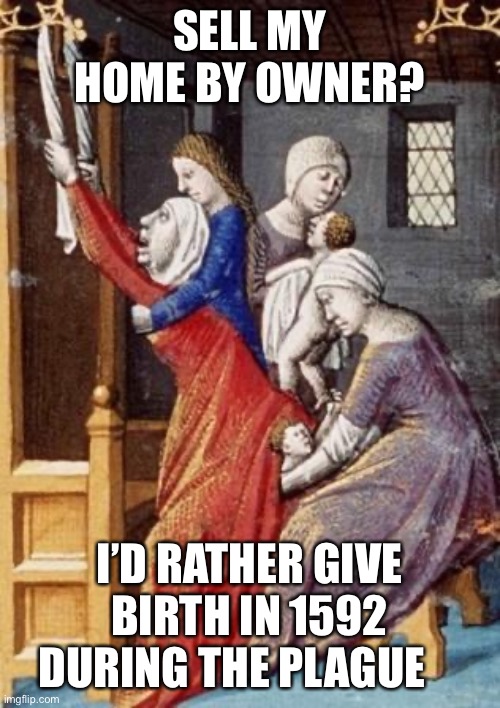 For sale by owner | SELL MY HOME BY OWNER? I’D RATHER GIVE BIRTH IN 1592 DURING THE PLAGUE | image tagged in fsbo,real estate,by owner,michelle sather | made w/ Imgflip meme maker