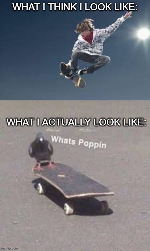 whats pooping | WHAT I THINK I LOOK LIKE:; WHAT I ACTUALLY LOOK LIKE: | image tagged in skateboarding,fun | made w/ Imgflip meme maker