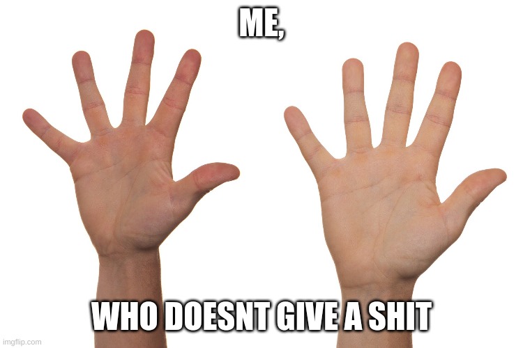 ME, WHO DOESNT GIVE A SHIT | made w/ Imgflip meme maker