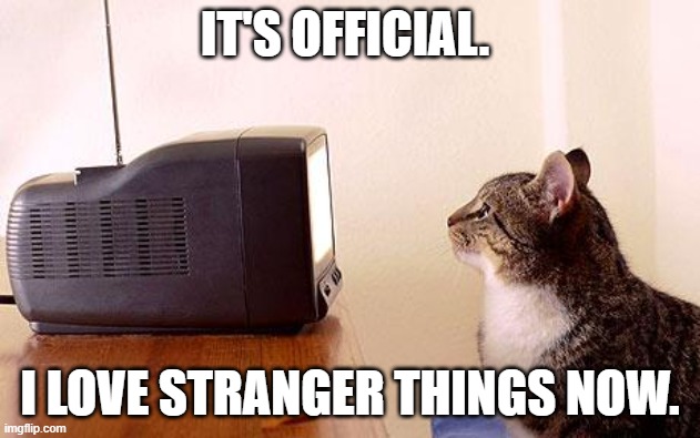 cat watching tv | IT'S OFFICIAL. I LOVE STRANGER THINGS NOW. | image tagged in cat watching tv | made w/ Imgflip meme maker