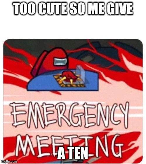 Emergency Meeting Among Us | TOO CUTE SO ME GIVE; A TEN | image tagged in emergency meeting among us | made w/ Imgflip meme maker