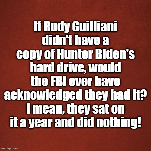 Hard Drive | If Rudy Guilliani didn't have a copy of Hunter Biden's hard drive, would the FBI ever have acknowledged they had it? I mean, they sat on it a year and did nothing! | image tagged in blank red background | made w/ Imgflip meme maker