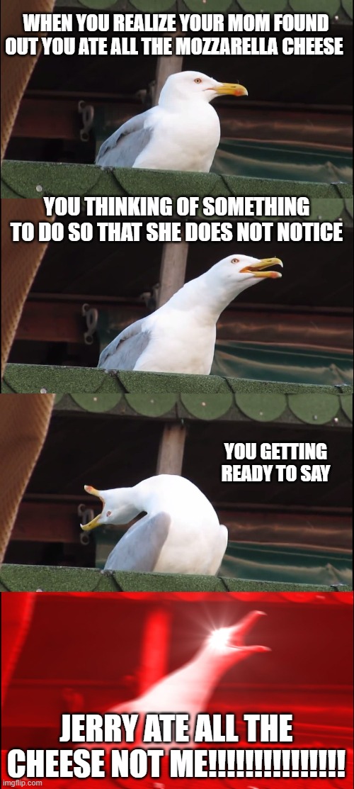 Inhaling Seagull | WHEN YOU REALIZE YOUR MOM FOUND OUT YOU ATE ALL THE MOZZARELLA CHEESE; YOU THINKING OF SOMETHING TO DO SO THAT SHE DOES NOT NOTICE; YOU GETTING READY TO SAY; JERRY ATE ALL THE CHEESE NOT ME!!!!!!!!!!!!!!! | image tagged in memes,inhaling seagull | made w/ Imgflip meme maker