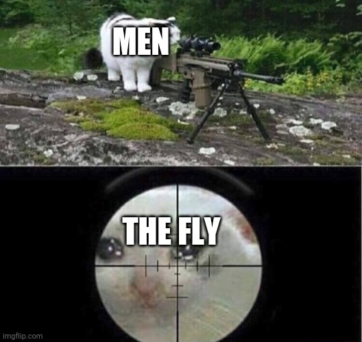Sniper cat | MEN THE FLY | image tagged in sniper cat | made w/ Imgflip meme maker