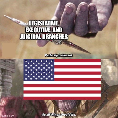 Perfectly Balanced | LEGISLATIVE, EXECUTIVE, AND JUICIDAL BRANCHES | image tagged in perfectly balanced | made w/ Imgflip meme maker