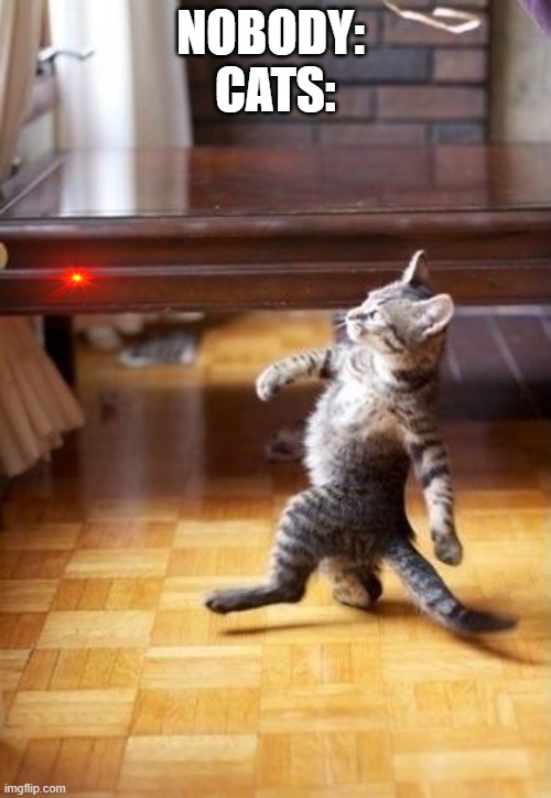 Cool Cat Stroll |  NOBODY: 
CATS: | image tagged in memes,cool cat stroll | made w/ Imgflip meme maker