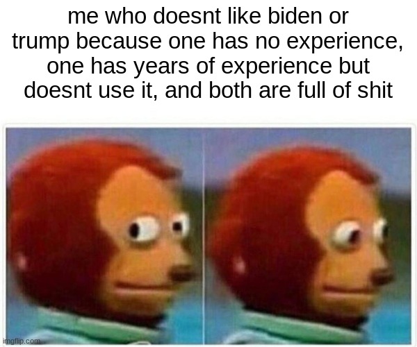 Monkey Puppet Meme | me who doesnt like biden or trump because one has no experience, one has years of experience but doesnt use it, and both are full of shit | image tagged in memes,monkey puppet | made w/ Imgflip meme maker