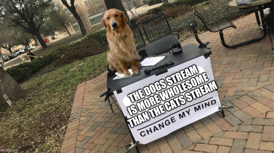 change my mind | THE DOGS STREAM IS MORE WHOLESOME THAN THE CATS STREAM | image tagged in dogs,change my mind | made w/ Imgflip meme maker