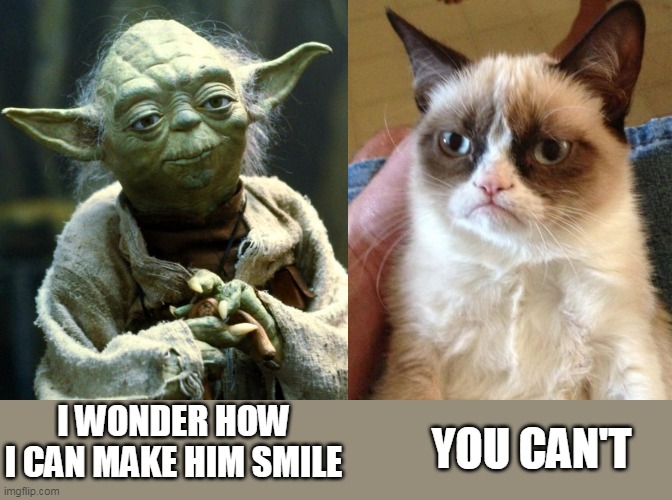 Make Grumpy Cat Smile | I WONDER HOW I CAN MAKE HIM SMILE; YOU CAN'T | image tagged in memes,grumpy cat,star wars yoda | made w/ Imgflip meme maker