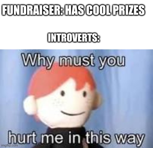 My school is doing a fundraiser | FUNDRAISER: HAS COOL PRIZES; INTROVERTS: | image tagged in why must you hurt me in this way,introverts | made w/ Imgflip meme maker