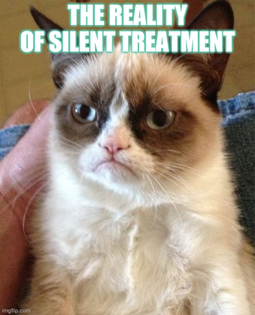 Grumpy Cat Meme | THE REALITY OF SILENT TREATMENT | image tagged in memes,grumpy cat | made w/ Imgflip meme maker