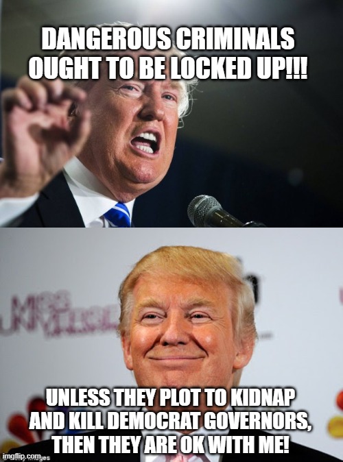 DANGEROUS CRIMINALS OUGHT TO BE LOCKED UP!!! UNLESS THEY PLOT TO KIDNAP AND KILL DEMOCRAT GOVERNORS, THEN THEY ARE OK WITH ME! | image tagged in donald trump,donald trump approves | made w/ Imgflip meme maker