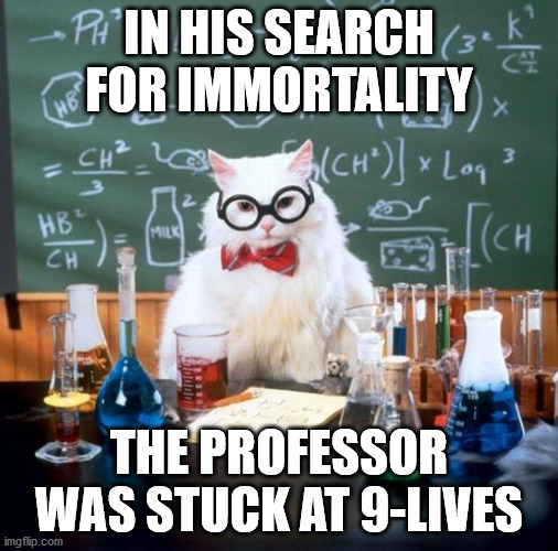 Seriousilly... |  IN HIS SEARCH FOR IMMORTALITY; THE PROFESSOR WAS STUCK AT 9-LIVES | image tagged in memes,chemistry cat | made w/ Imgflip meme maker