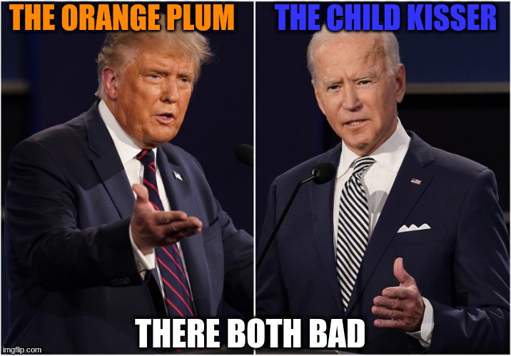 Donald Trump and Joe Biden | THE ORANGE PLUM; THE CHILD KISSER; THERE BOTH BAD | image tagged in poltics,political meme | made w/ Imgflip meme maker