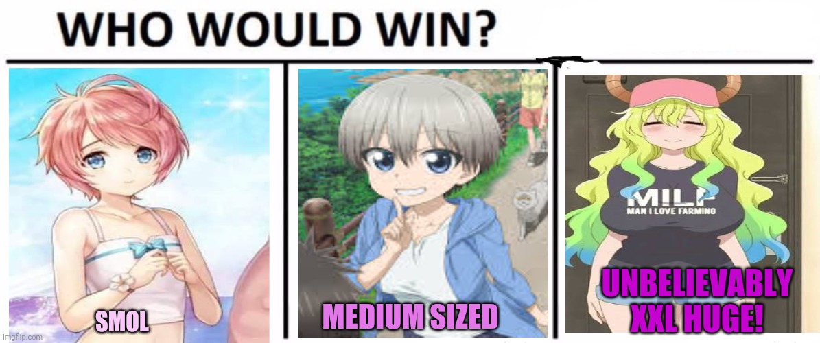 Everyone has a favorite! | SMOL MEDIUM SIZED UNBELIEVABLY XXL HUGE! | image tagged in memes,who would win,anime girl,anime boy,chest,size | made w/ Imgflip meme maker