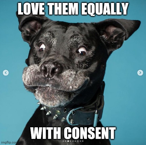 Indubitably Dog | LOVE THEM EQUALLY WITH CONSENT | image tagged in indubitably dog | made w/ Imgflip meme maker