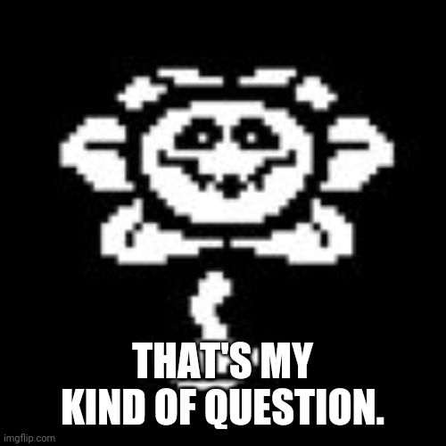 Flowey | THAT'S MY KIND OF QUESTION. | image tagged in flowey | made w/ Imgflip meme maker