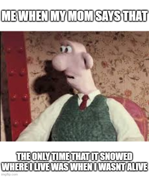 True story | ME WHEN MY MOM SAYS THAT; THE ONLY TIME THAT IT SNOWED WHERE I LIVE WAS WHEN I WASNT ALIVE | image tagged in surprised wallace | made w/ Imgflip meme maker