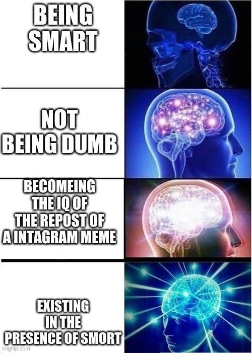 levels of intelligence | BEING SMART; NOT BEING DUMB; BECOMEING THE IQ OF THE REPOST OF A INTAGRAM MEME; EXISTING IN THE PRESENCE OF SMORT | image tagged in levels of intelligence | made w/ Imgflip meme maker