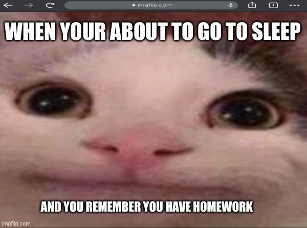 Homework | WHEN YOUR ABOUT TO GO TO SLEEP; AND YOU REMEMBER YOU HAVE HOMEWORK | image tagged in oof | made w/ Imgflip meme maker