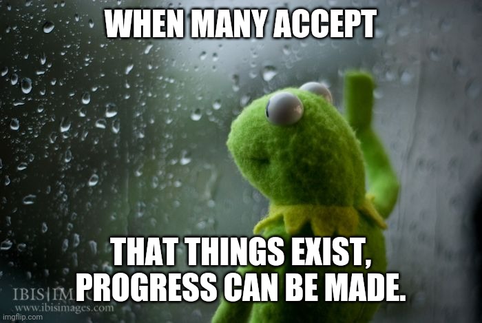 kermit window | WHEN MANY ACCEPT THAT THINGS EXIST, PROGRESS CAN BE MADE. | image tagged in kermit window | made w/ Imgflip meme maker