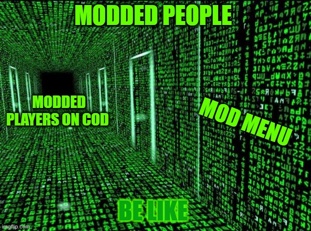 Modded | MODDED PEOPLE; MODDED PLAYERS ON COD; MOD MENU; BE LIKE | image tagged in matrix hallway code | made w/ Imgflip meme maker