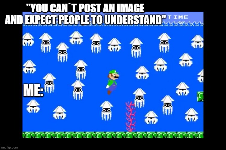 Luigi Screwed | "YOU CAN`T POST AN IMAGE AND EXPECT PEOPLE TO UNDERSTAND"; ME: | image tagged in luigi screwed | made w/ Imgflip meme maker