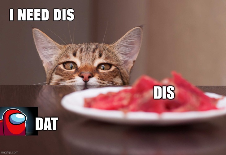 I need dis or dat | DIS; DAT | image tagged in cat | made w/ Imgflip meme maker