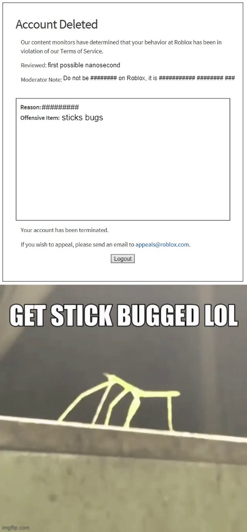 first possible nanosecond; Do not be ######## on Roblox, it is ########### ######## ###; #########; sticks bugs | image tagged in banned from roblox | made w/ Imgflip meme maker