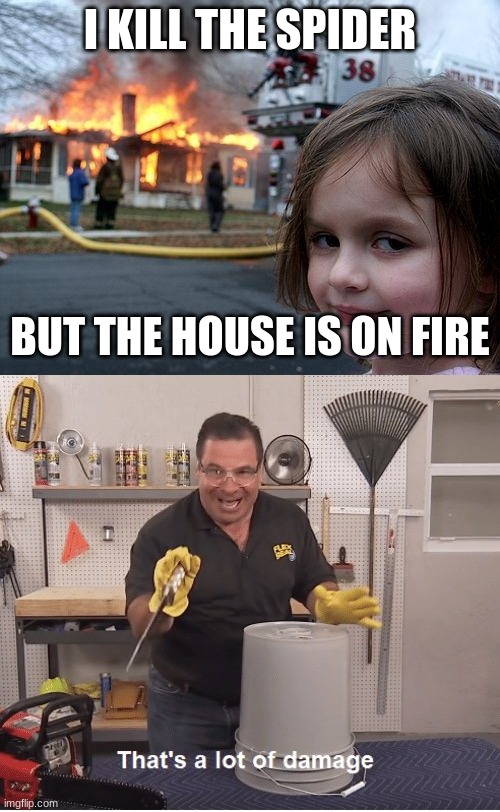 I KILL THE SPIDER; BUT THE HOUSE IS ON FIRE | image tagged in memes,disaster girl,thats a lot of damage | made w/ Imgflip meme maker