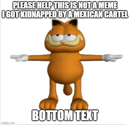 send help | PLEASE HELP THIS IS NOT A MEME I GOT KIDNAPPED BY A MEXICAN CARTEL; BOTTOM TEXT | image tagged in garfield t-pose,send help | made w/ Imgflip meme maker